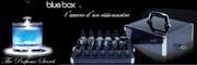 BLUEBOX - аромат,  такой же индивидуальный,  как и Вы сами...